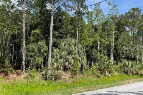 Terreno en Wesley Chapel, Florida № 2195179