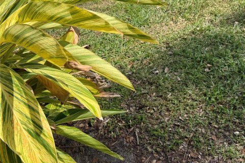 Condominio en venta en Saint Petersburg, Florida, 1 dormitorio, 62.71 m2 № 2096283 - foto 21