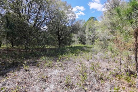 Land in Groveland, Florida № 2123353 - photo 5