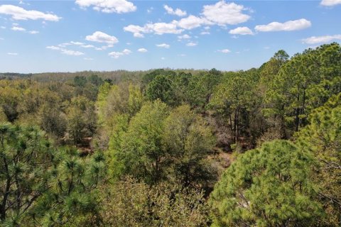 Land in Groveland, Florida № 2123353 - photo 3