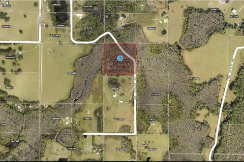 Land in Groveland, Florida № 2123353 - photo 2