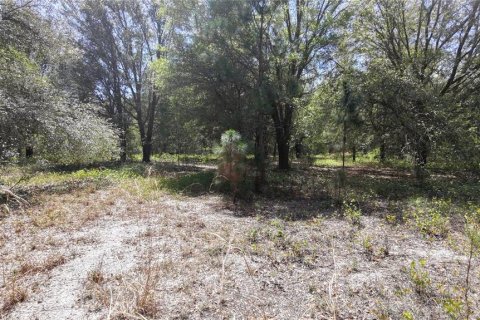 Land in Groveland, Florida № 2123353 - photo 7