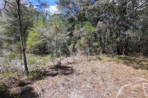 Land in Groveland, Florida № 2123353 - photo 4