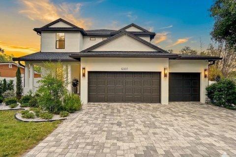 House in Tampa, Florida 4 bedrooms, 348.48 sq.m. № 2201424