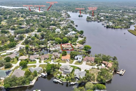 House in Homosassa, Florida 3 bedrooms, 163.32 sq.m. № 1903335 - photo 3