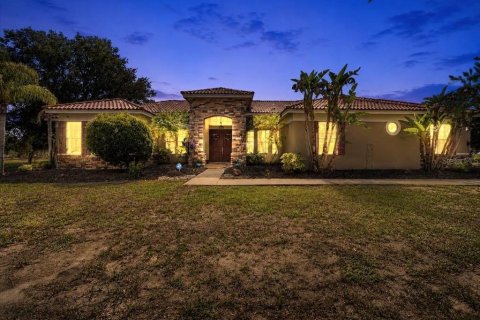 House in Wimauma, Florida 4 bedrooms, 346.9 sq.m. № 2157333 - photo 2
