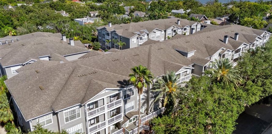 Condo in Tampa, Florida, 1 bedroom  № 1746409