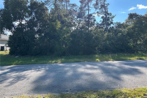 Land in Ocala, Florida № 2390961 - photo 4