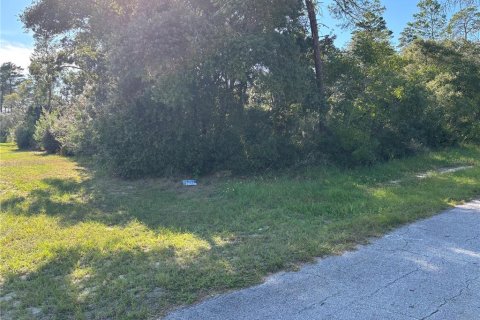 Land in Ocala, Florida № 2390961 - photo 6