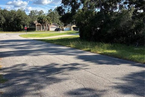 Land in Ocala, Florida № 2390961 - photo 3