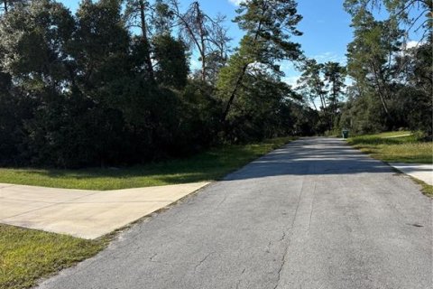 Land in Ocala, Florida № 2390961