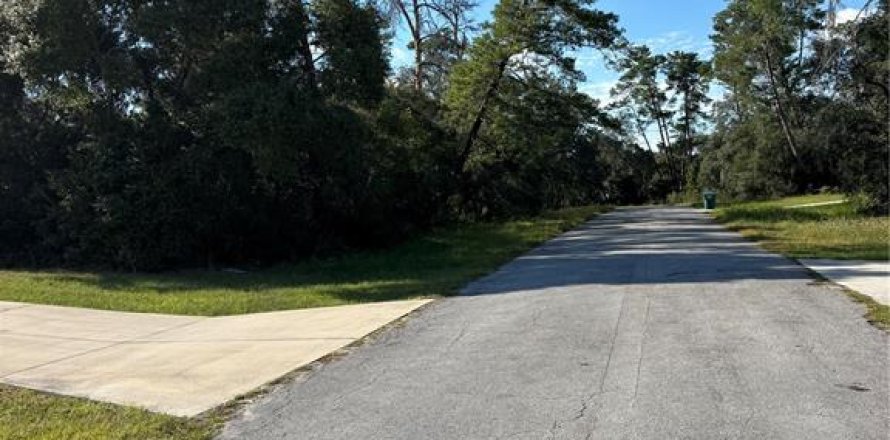 Land in Ocala, Florida № 2390961