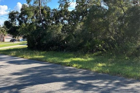 Land in Ocala, Florida № 2390961 - photo 2