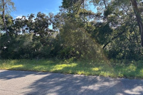 Land in Ocala, Florida № 2390961 - photo 5