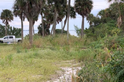 Land in Fort Pierce, Florida № 115126 - photo 1