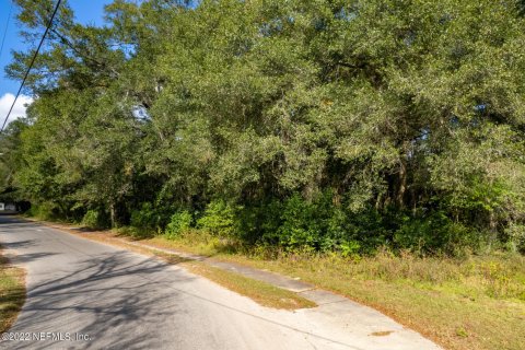 Land in Jacksonville, Florida № 766003 - photo 1