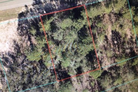 Land in Ocala, Florida № 2364821