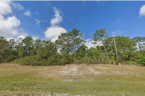 Terrain à vendre à Polk City, Floride № 2235094 - photo 2