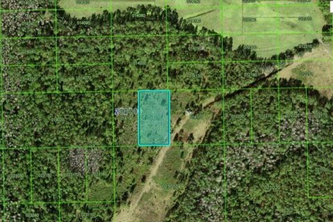 Terrain à Polk City, Floride № 2235094