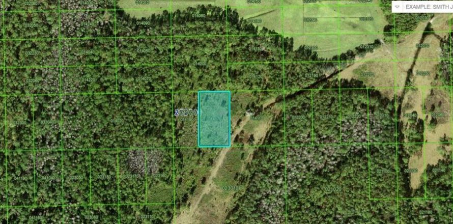 Terrain à Polk City, Floride № 2235094
