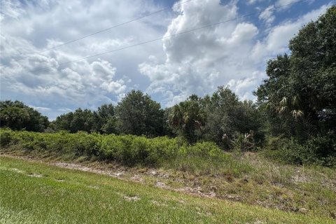 Land in Okeechobee, Florida № 2160551 - photo 6
