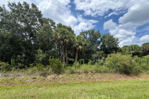 Land in Okeechobee, Florida № 2160551