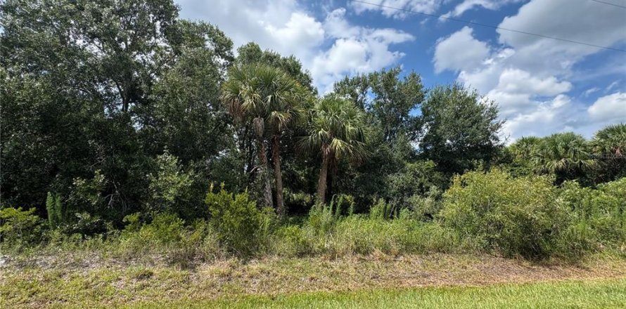 Land in Okeechobee, Florida № 2160551
