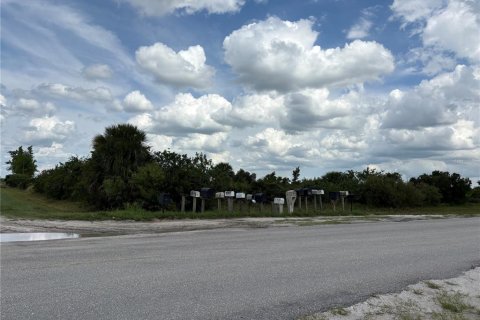Land in Okeechobee, Florida № 2160551 - photo 4