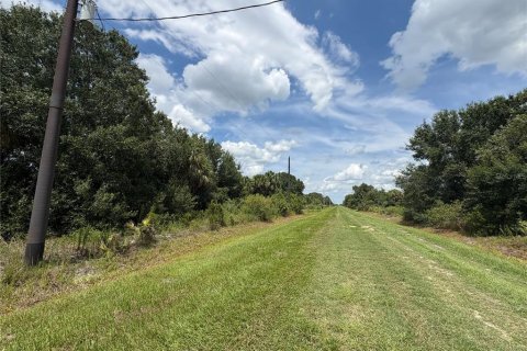 Land in Okeechobee, Florida № 2160551 - photo 5