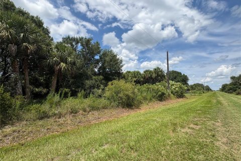 Land in Okeechobee, Florida № 2160551 - photo 3