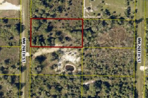 Land in Okeechobee, Florida № 2160551 - photo 2