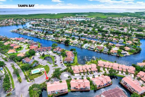 Condo in Tampa, Florida, 3 bedrooms  № 1847173 - photo 3