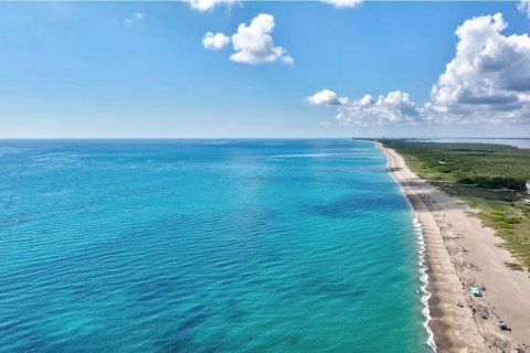 Condo in St. Lucie, Florida, 1 bedroom № 2247801 - photo 25