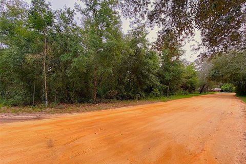 Land in Lady Lake, Florida № 2296752