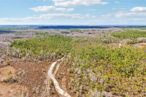 Купить земельный участок в Индиантаун, Флорида № 2033856 - фото 14