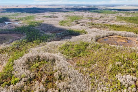 Купить земельный участок в Индиантаун, Флорида № 2033856 - фото 8