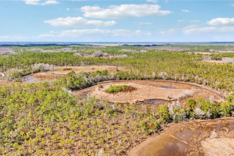 Купить земельный участок в Индиантаун, Флорида № 2033856 - фото 16