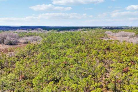 Купить земельный участок в Индиантаун, Флорида № 2033856 - фото 26