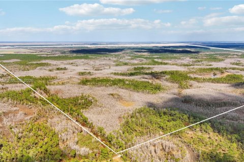 Купить земельный участок в Индиантаун, Флорида № 2033856 - фото 3