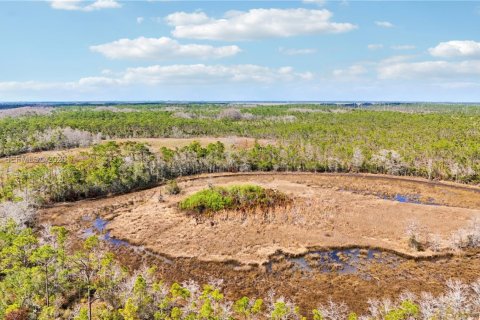 Купить земельный участок в Индиантаун, Флорида № 2033856 - фото 18