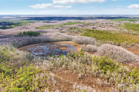 Купить земельный участок в Индиантаун, Флорида № 2033856 - фото 12