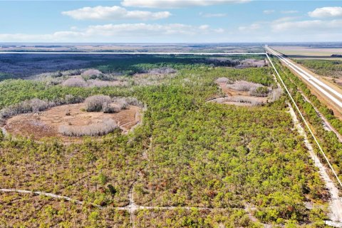 Купить земельный участок в Индиантаун, Флорида № 2033856 - фото 23