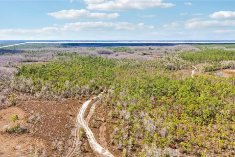 Купить земельный участок в Индиантаун, Флорида № 2033856 - фото 13