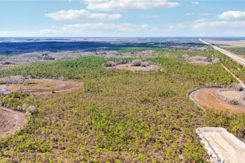 Купить земельный участок в Индиантаун, Флорида № 2033856 - фото 20