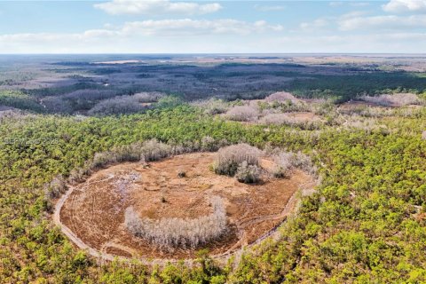 Купить земельный участок в Индиантаун, Флорида № 2033856 - фото 25