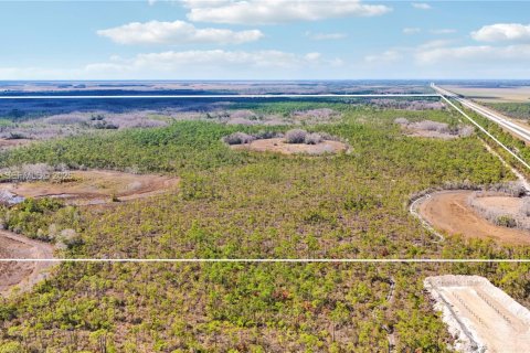 Купить земельный участок в Индиантаун, Флорида № 2033856 - фото 19