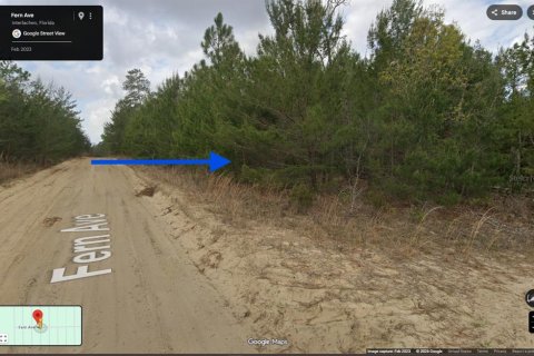 Terrain à Interlachen, Floride № 2228771