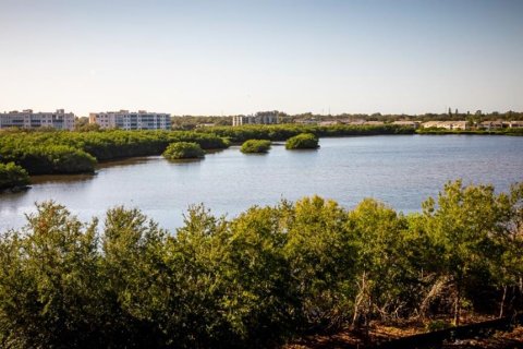 Adosado en venta en Seminole, Florida, 3 dormitorios, 208.84 m2 № 1335995 - foto 29