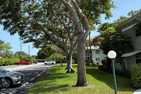 Copropriété à louer à Delray Beach, Floride: 1 chambre, 79.71 m2 № 2171627 - photo 7