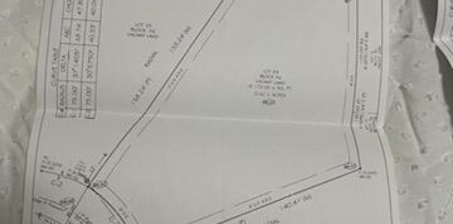 Land in Lehigh Acres, Florida № 869344